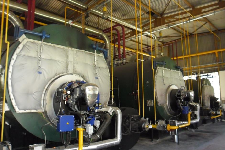 Heineken Croatia- foto 6